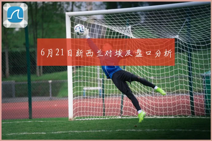 6月21日新西兰对埃及盘口分析