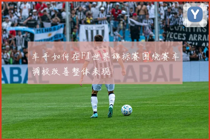 车手如何在F1世界锦标赛围绕赛车调校改善整体表现