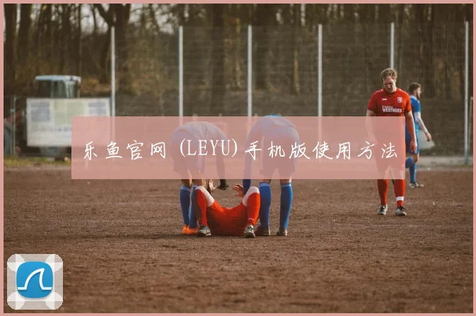 乐鱼官网 (LEYU)手机版使用方法