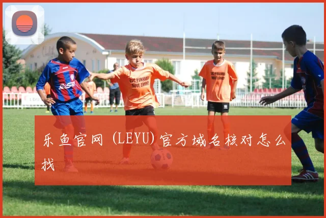 乐鱼官网 (LEYU)官方域名核对怎么找