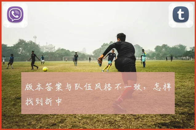 版本答案与队伍风格不一致，怎样找到折中