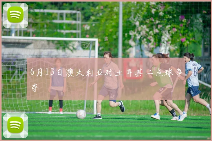 6月13日澳大利亚对土耳其二点球争夺
